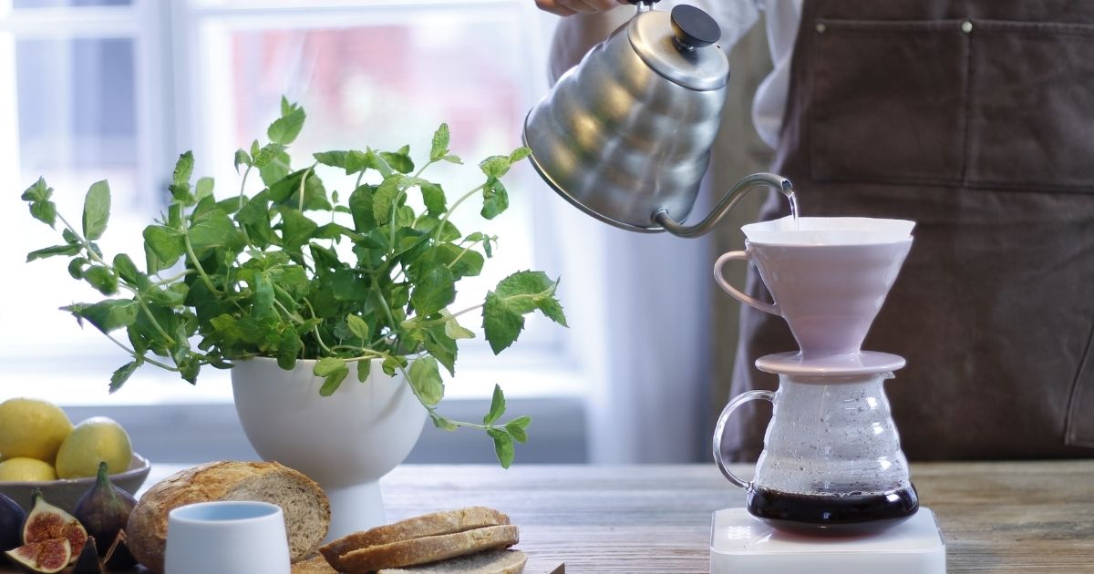 Bryg den perfekte kaffe med Hario V60 -filterholderen