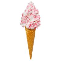 Nic polka mynte drysser 1 kg