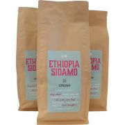 Crema Ethiopia Sidamo 3 kg kaffebønner