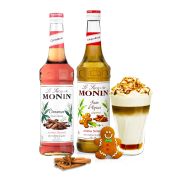 Monin Gingerbread + Monin Cinnamon smagssirupper 700 ml