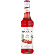 Monin Spicy smagssirup 700 ml