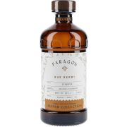 Monin Paragon Cordial Rue Berry -mixer 48,5 cl